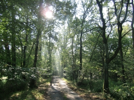 Schermbeck : Wanderweg zum NSG Loosenberge, der Wanderparkplatz befindet sich an der B 58 rechts, Richtung Schermbeck-Damm, Ecke Weseler Straße / Loosenberge.